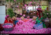 میمندِ زیبا به مردم ایران و جهان معرفی می‌شود