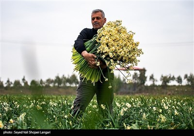 بمناسبت روز جهانی کار و کارگر