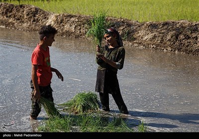 بمناسبت روز جهانی کار و کارگر