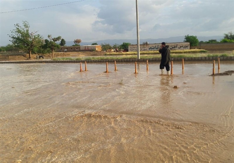 گزارش تسنیم از خسارت سیل در گناباد/ هیچ‌کس به فریاد مردم نرسید/ سیلاب بار دیگر دسترنج یکساله کشاورزان را نابود کرد + فیلم