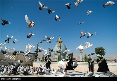 بمناسبت پانزده اردیبهشت روز شیراز