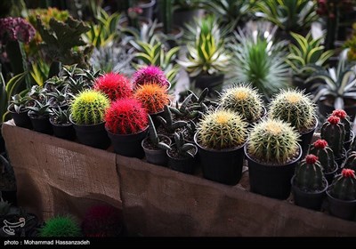 هجدهمین نمایشگاه بین‌المللی گل و گیاه تهران