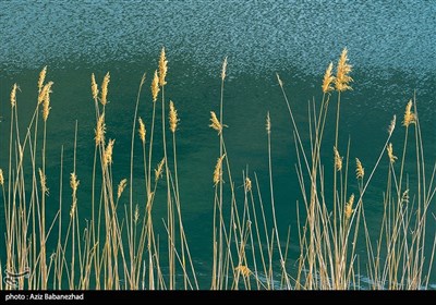 İran&apos;ın Lorestan İlindeki Goher Gölü