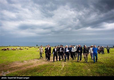 بازدید معاون دادستان کل کشور از پتروشیمی میانکاله- ساری