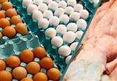 کویت واردکننده مرغ و تخم مرغ ایران شد