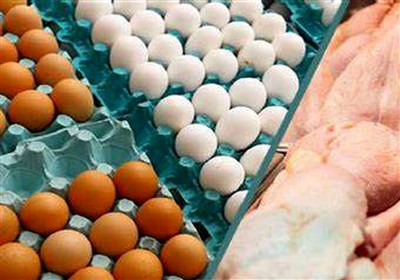  قیمت تخم مرغ هم به زیر نرخ مصوب رسید/ رکورد تولید تخم مرغ در کشور شکسته می‌شود 