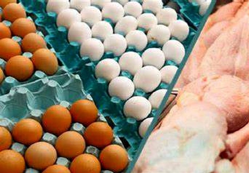 صادرات 180 هزار تن مرغ و تخم مرغ تا پایان سال