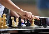 شفیعی: چیزی از شطرنج ایران باقی نمانده است