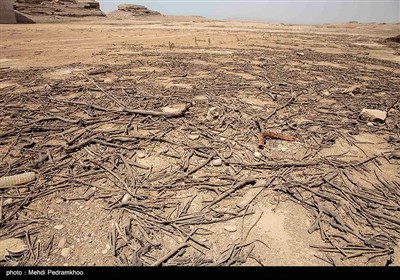 خشکسالی در حوضه رود کرخه