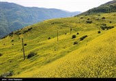 İran&apos;ın Kuzeyindeki Gilan İli-Rahimabad ilçesinin Eşkeverat bölgesi doğal güzelliği