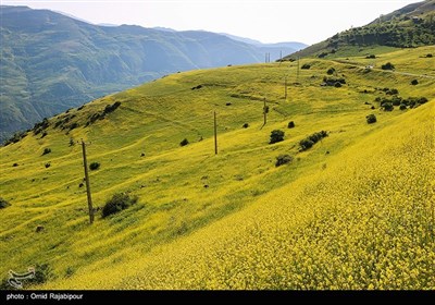 İran&apos;ın Kuzeyindeki Gilan İli-Rahimabad ilçesinin Eşkeverat bölgesi doğal güzelliği