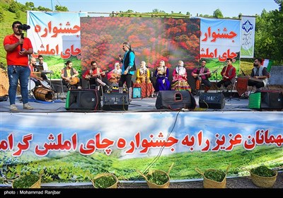 نخستین جشنواره چای شهرستان املش