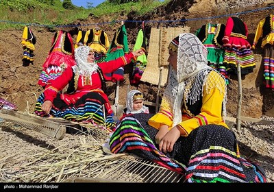 نخستین جشنواره چای شهرستان املش