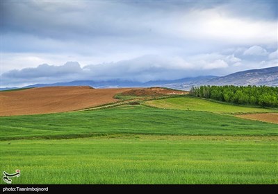  طبیعت زیبای خراسان شمالی در اردیبهشت ۱۴۰۱ به روایت تصاویر 