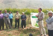 کاروان‌های ترویج بهره‌وری کشاورزی کشور در استان کرمانشاه آغاز به‌کار کرد