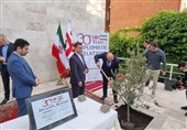 ‏کاشت نهال زیتون به مناسبت سی‌امین سالگرد روابط دیپلماتیک ایران و گرجستان