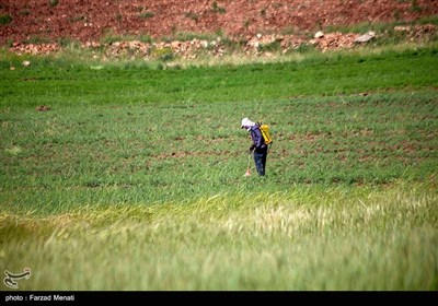 کاروان ملی ترویج آموزش کشاورزان در کرمانشاه