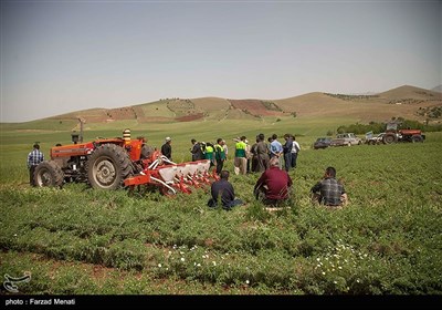 کاروان ملی ترویج آموزش کشاورزان در کرمانشاه
