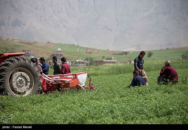 بیمه تأمین اجتماعی فقط 6 ماه در سال شامل کشاورزان لرستان می‌شود