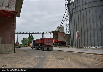 بررسی وضعیت ذخیره سازی کالاهای اساسی در انبار کالاهای استان مازندران