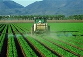 محصولات استراتژیک کشاورزی باید جایگزین محصولات آب بر شود