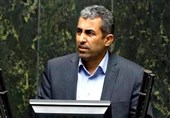 پورابراهیمی: سیاست های ارزی دولت نه بر اساس کار علمی است نه تجربی