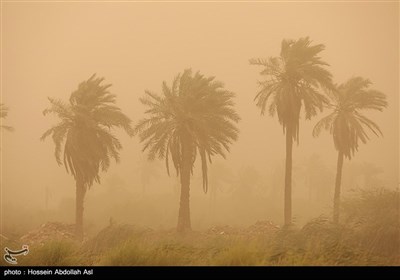 گردو خاک در آبادان