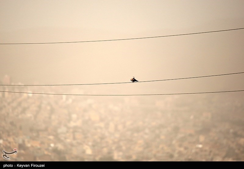 گرد و غبار غلیظ در مسیر تهران! + فیلم