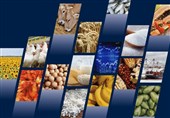 رتبه 43 ایران در واردات غذا/ کشورهای صنعتی بزرگترین واردکننده غذا در جهان شاخته شدند
