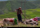 جشنواره ملی فرهنگ عشایر کوچ با حضور وزیر میراث فرهنگی افتتاح شد