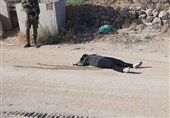 شهادت زن آزاده و خبرنگار فلسطینی در تیراندازی نظامیان رژیم اسرائیل