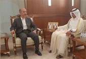 وزیر نیرو با وزیر انرژی قطر دیدار کرد/محورهای مذاکرات برقی و گازی ایران و قطر