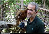 آزاد سازی پرندگان شکاری در همدان