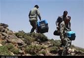 آزاد سازی پرندگان شکاری در همدان