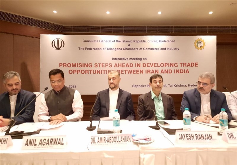 Conference Discusses Development of Iran-India Trade Ties