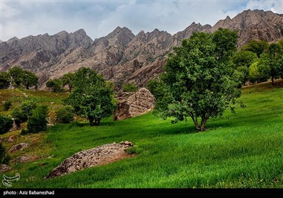 کوه مهرابکوه شهرستان دلفان استان لرستان