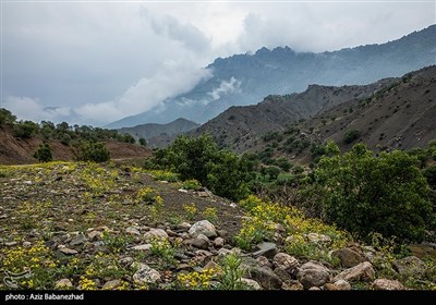 کوه مهرابکوه شهرستان دلفان استان لرستان