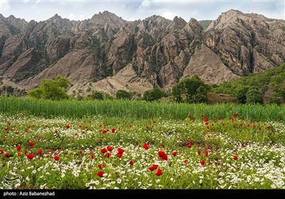 کوه مهرابکوه شهرستان دلفان استان لرستان