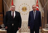 دیدار اردوغان با معاون نخست وزیر روسیه