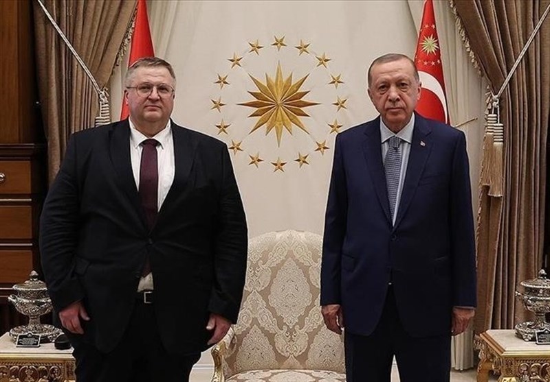 دیدار اردوغان با معاون نخست وزیر روسیه