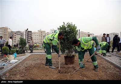 اولین دوره مسابقات گلکاری و طراحی فضای سبز - مشهد