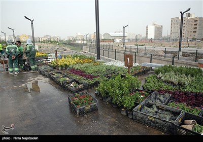 اولین دوره مسابقات گلکاری و طراحی فضای سبز - مشهد