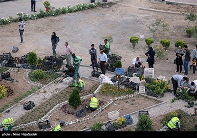 اولین دوره مسابقات گلکاری و طراحی فضای سبز - مشهد