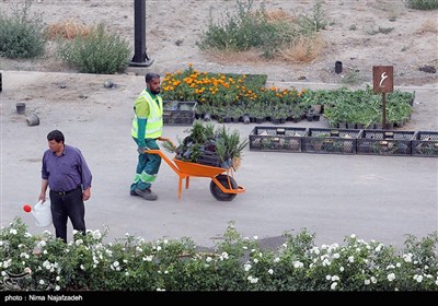 اولین دوره مسابقات گلکاری و طراحی فضای سبز - مشهد