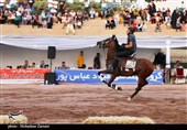 معرفی برترین‌های مسابقات پرش با اسب جام صدران پیشرو