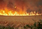 سهل‌انگاری یک چوپان 8 هکتار از اراضی لاریجان را به آتش کشید