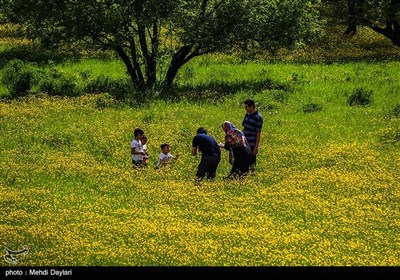 طبیعت منطقه ارسباران - آذربایجان شرقی 