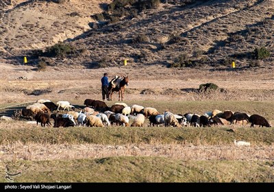 زمین فوتبال گَت چمن - مازندران