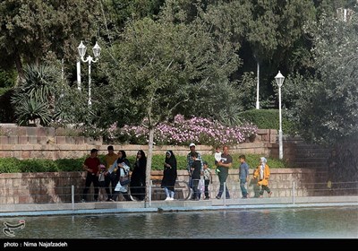 همایش پیاده روی خانوادگی باغبانان نمونه مشهد