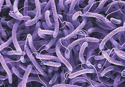  شناسایی ۷۹ مبتلا به وبا در سال گذشته/کاهش چشمگیر آمار بیماری 